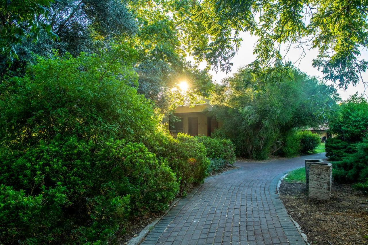 כפר הנופש קיבוץ גדות Kibbutz Gadot Galilean Resort Екстер'єр фото